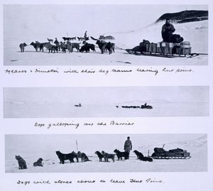 Three Views of the Dog Teams Led by Meares and Dimetri on the 